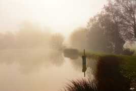 Etang de brume