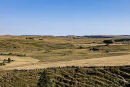 Sécheresse sur l'Aubrac