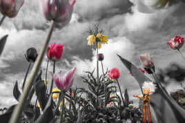 Arthur vous invite dans son monde !!!