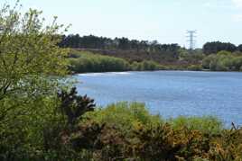 le lac des bruyère