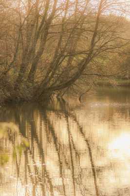 Au bord de l eau