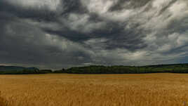 Orge sous l orage