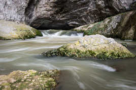 Le Lison sort de son trou