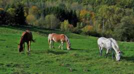 La plus noble conquête de l'homme.