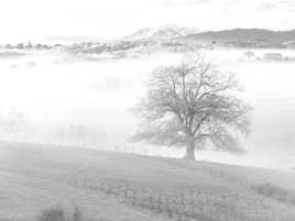 High Key sur les Antys