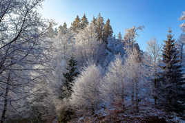 à la cime de la montagne