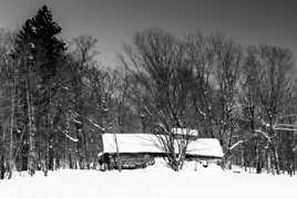 Le temps fait du ravage