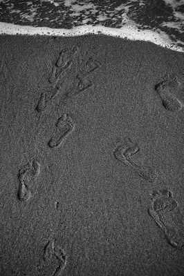 retour aux sources....