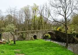 Petit pont sur le Sichon