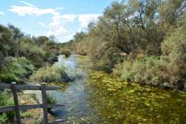 1 - Paysage de Camargue