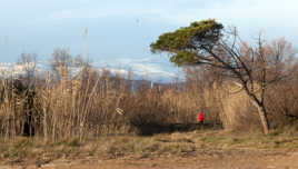 Promenade