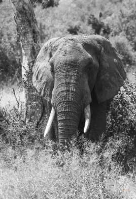 Te fache pas surtout !!!