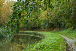 Canal en novembre