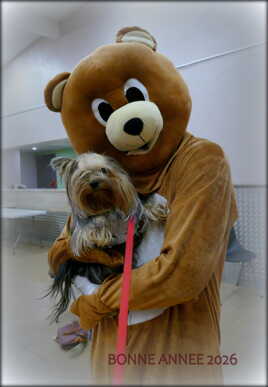 Bonne Année, les Locos !