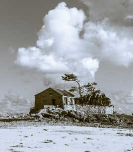 Sous l'ombre du vent et du sel