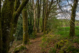 Suivre le sentier