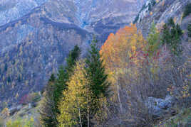 Automne en montagne