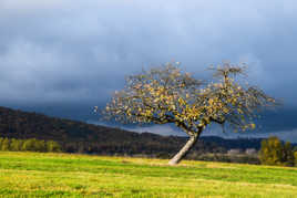 dernier rayon avant l'orage 2