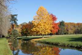 Automne au parc