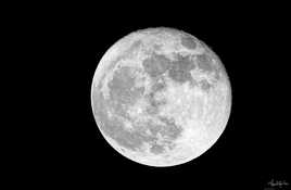 Aux bouts des doigts