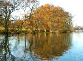 Automne sur l’étang