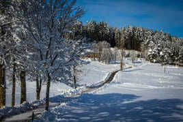 Le chemin du Serpolet