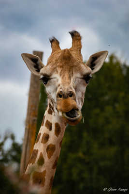 Entourloupe ou coup monté ?