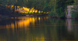 L'étang du château