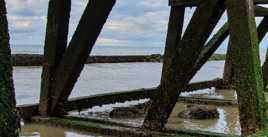 Les pieds dans l'eau