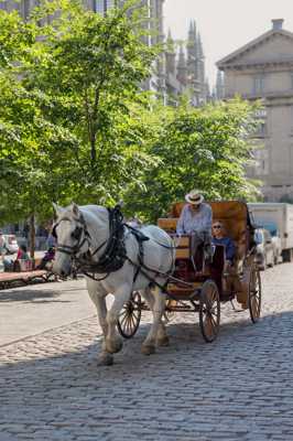 Calèche Urbaine