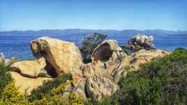 Là où mes pas me mènent