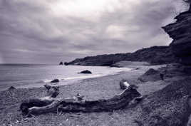 Balade sur la plage