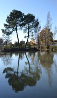 ETANG DE JOZZEREAU