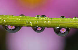 Jour de pluie!