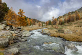 Au milieu coule une rivière