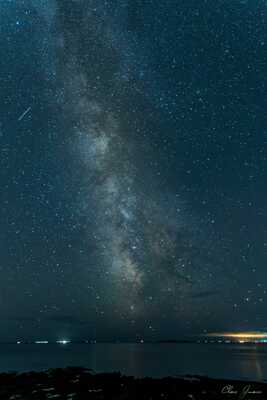 Les étoiles de bord de mer