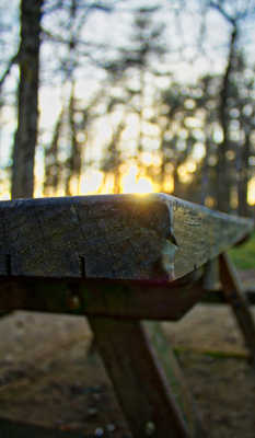 Petit deviendra grand