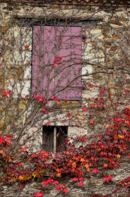 La maison prisonnière