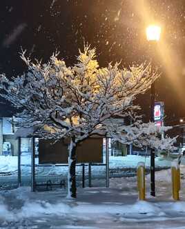 Première tempête de neige