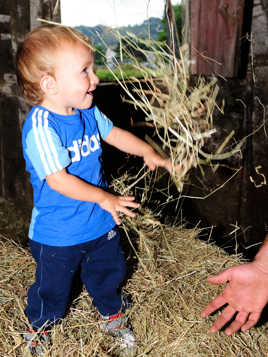 tiens tonton rammasse