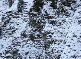 LE VISAGE DE LA RESISTANCE