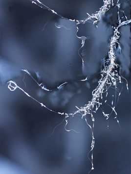 Ça ne tient qu'à un fil