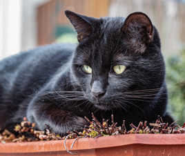 t'es pas OK sur mon choix de pouf !!