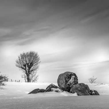 Plateau d'Aubrac