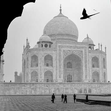Vue sur le Taj Mahal par patrick69220