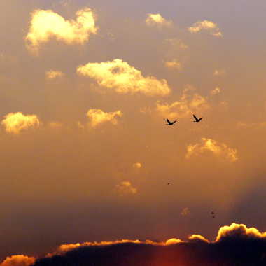 Nuages et grues par Farim