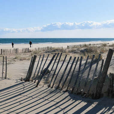 La plage, la dune et les ganivelles