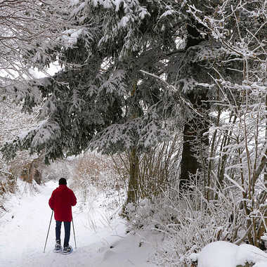 Randonnée en raquettes par Dominique-Murielle