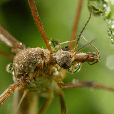Elle va s'enrhumer!! par JeBricole