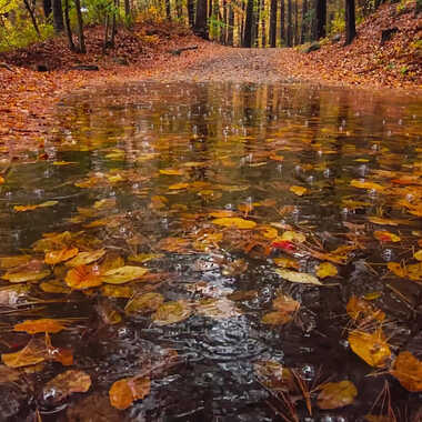 Gagnant du Concours Photo Pluie